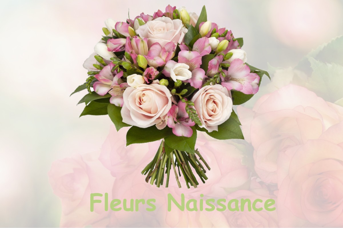 fleurs naissance FRASNE-LE-CHATEAU